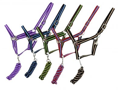 Nylon Halter With Matching Lead Rope